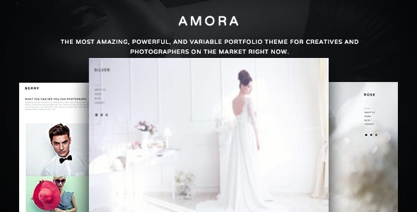 Top Wedding Photography WordPress Themes 2020 - Amora